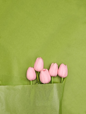 Бумага тишью оливковая, 50х66 см, 10 листов